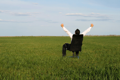 Guy on chair in field